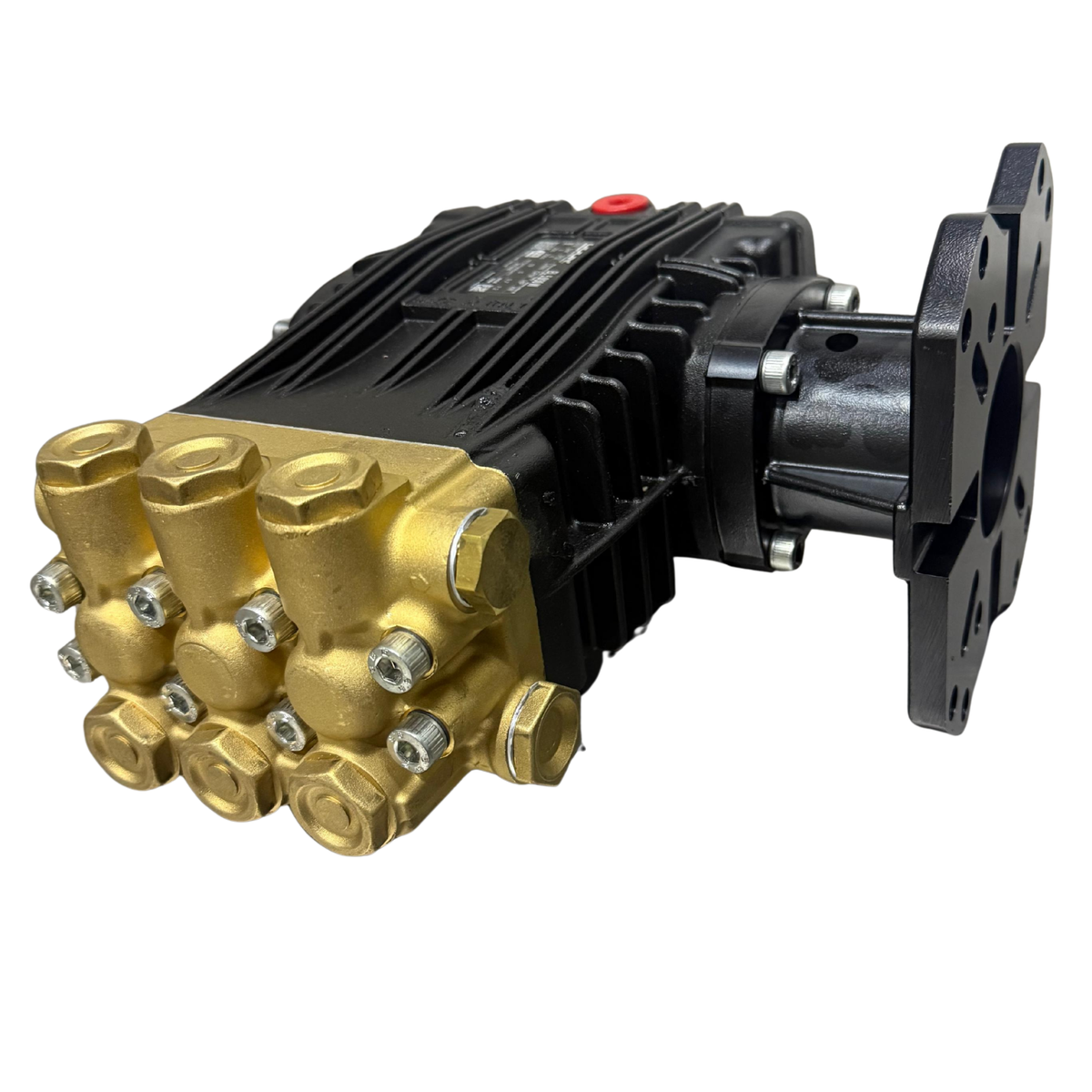 Bomba de Alta Presión UDOR BL 5.0/30 W (2900 PSI)