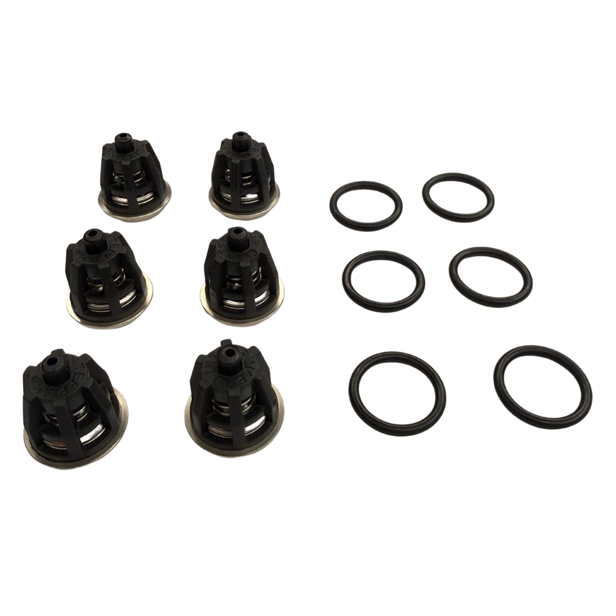 Kit 1 de Válvulas Check Interpump (Para W921, W922, Big Bang y Turbo)