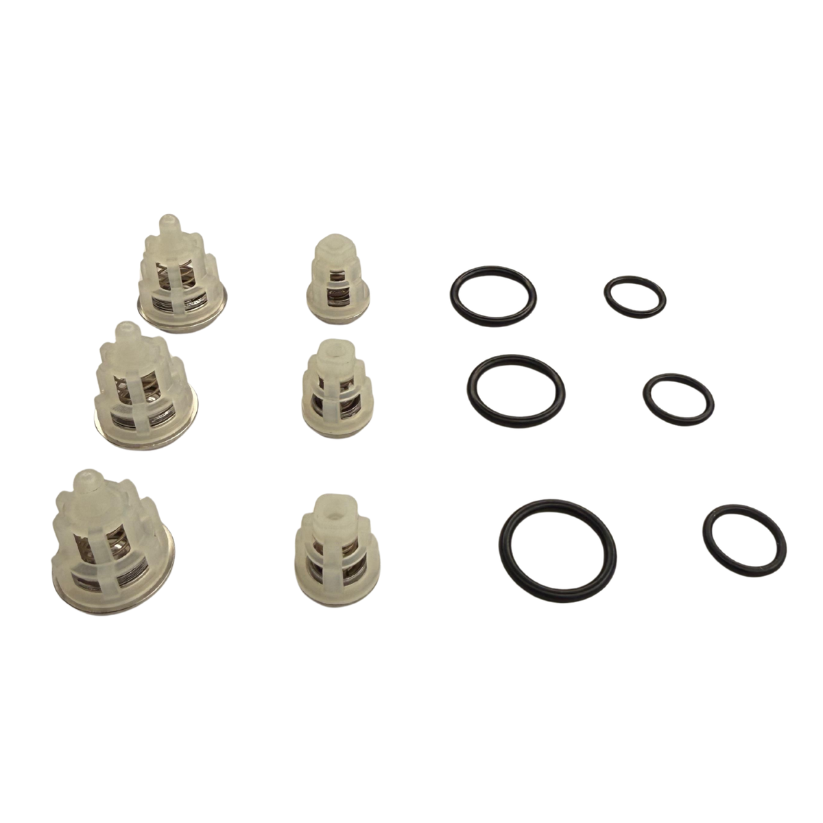 Kit 269 de Válvulas Check Interpump (Evo 2 Serie 58, Evo 3 y Modelos Compatibles)