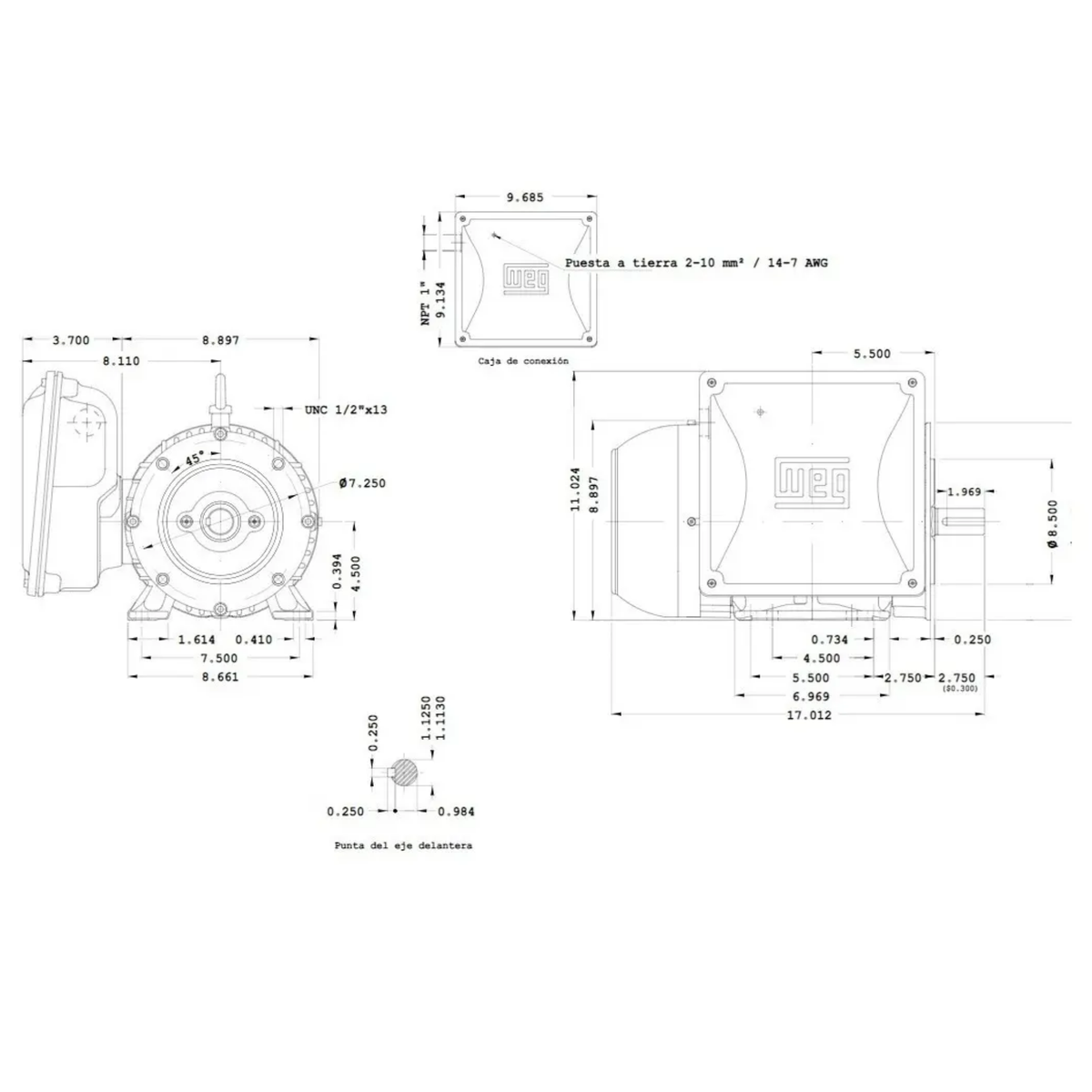 Motor WEG 5 HP para Hidrolavadora (Brida C - 1750 RPM)