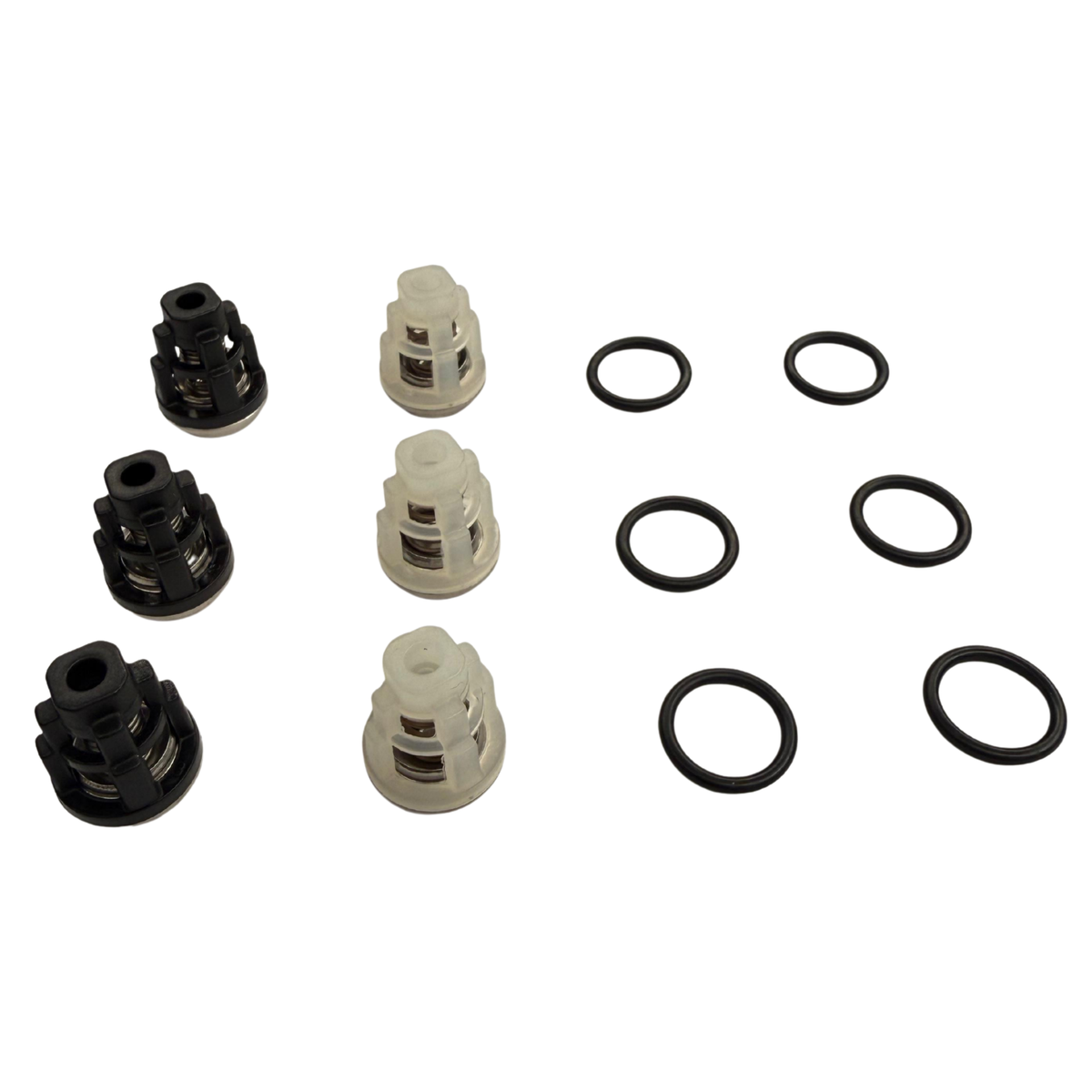 Kit 309 de Válvulas Check Interpump (Para E1C1808)