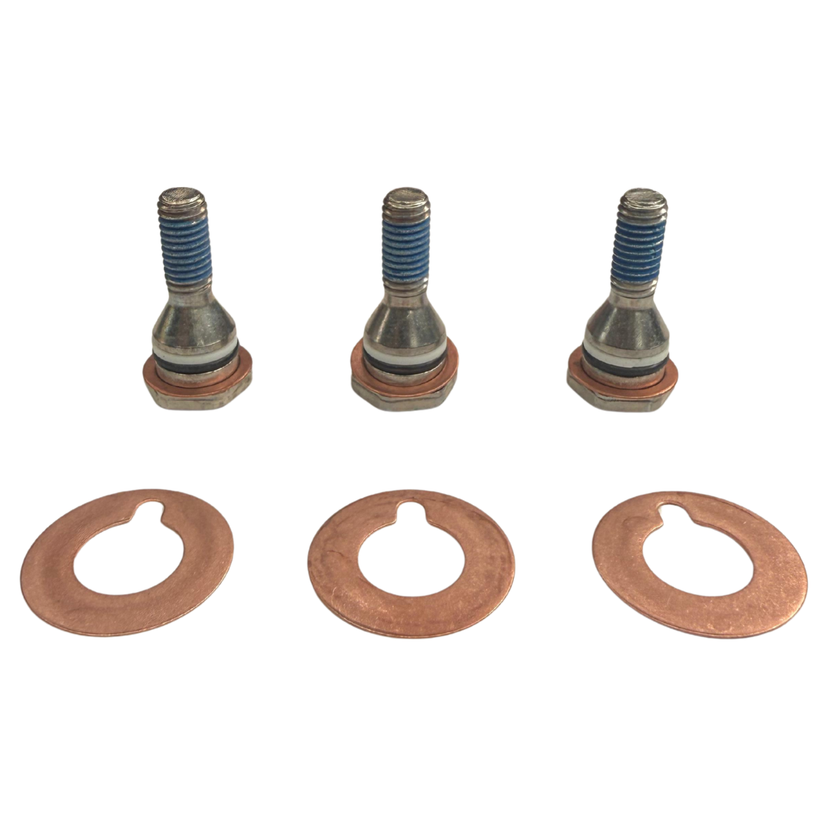 Kit de Tornillos para Pistón Guía Interpump (Para W921 y W922)